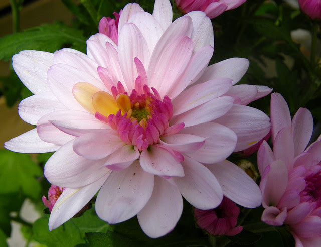 Nature's Treasures