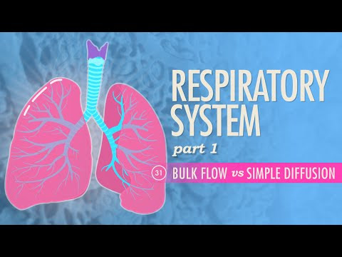 Video How Yoga Helps Respiratory System