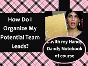 Newest Mary Kay Flyers most update!