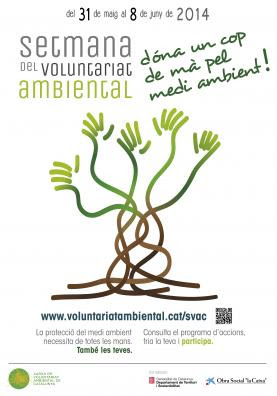 Cartell de la Setmana del Voluntariat 2014