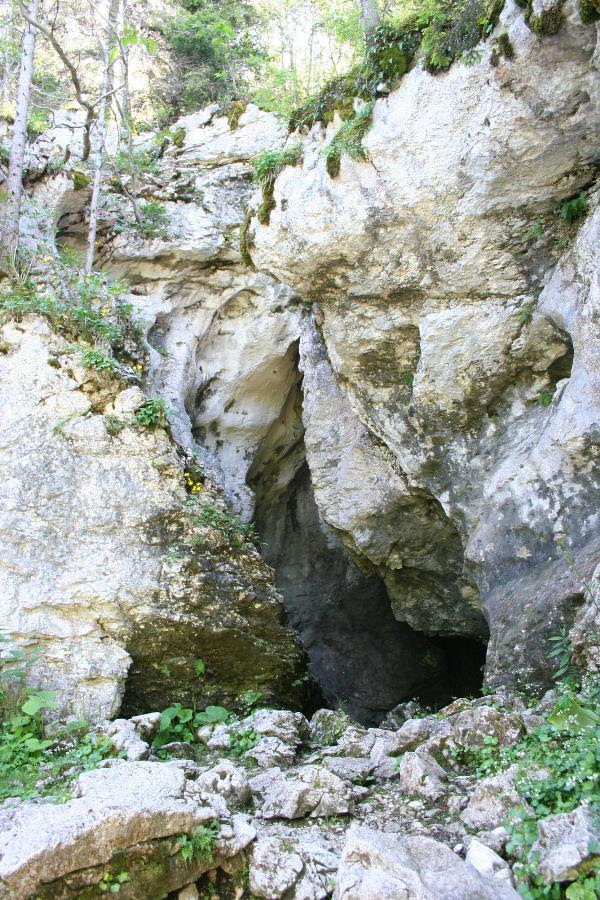 GC1E0ZG La Grotte de l'ours (Traditional Cache) in Auvergne-Rhône-Alpes, France created by Vilcanota