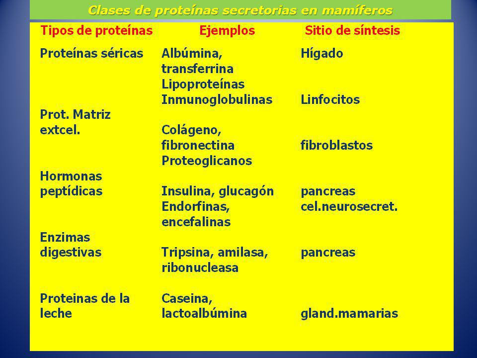 Resultado de imagen para clases de proteinas