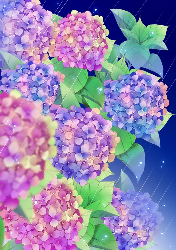 紫阳花散落 万图壁纸网