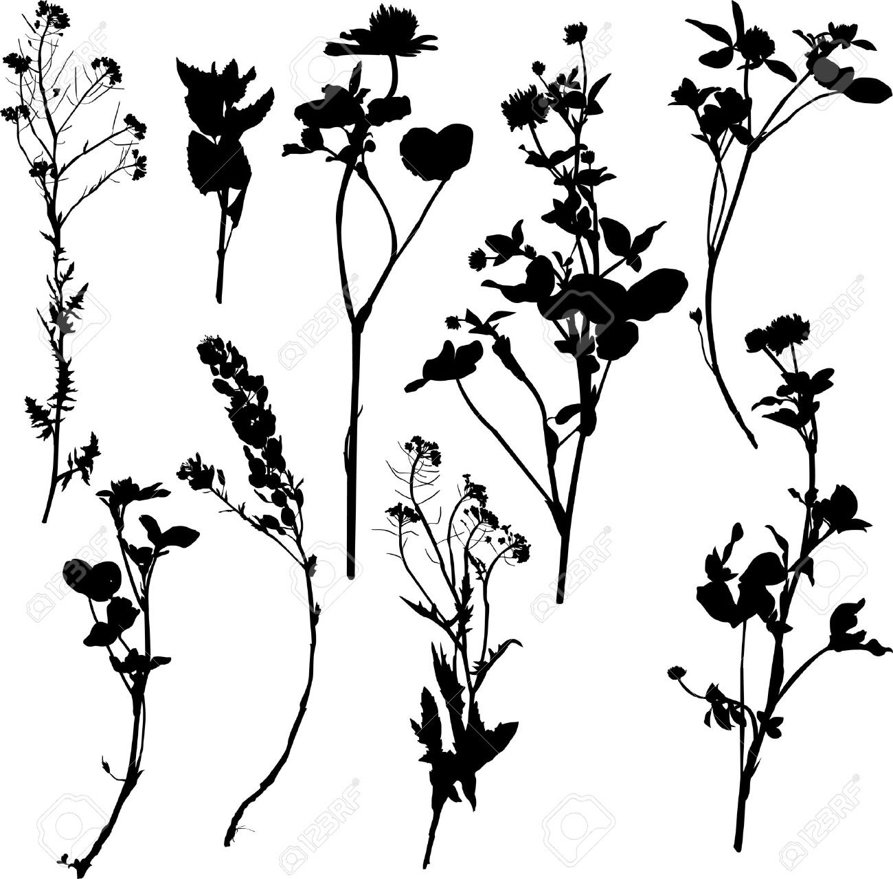 Free Free 160 Native Flower Svg SVG PNG EPS DXF File
