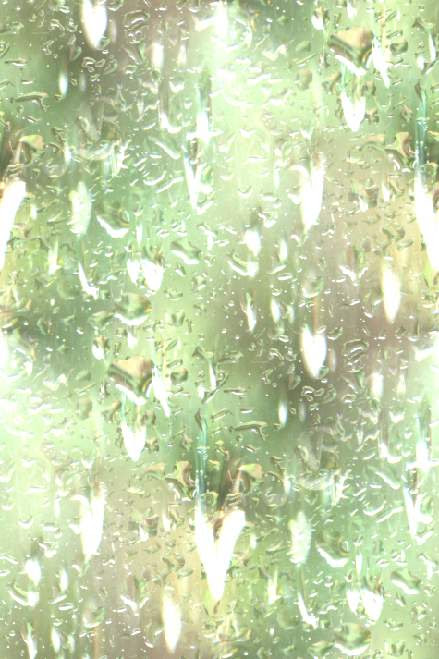 wallpaper rain. wallpaper rain. view the
