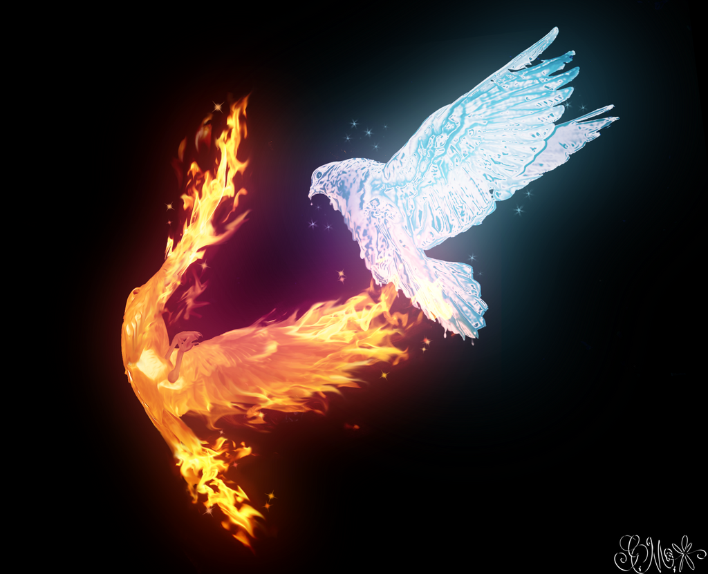  Fire  Vs  Ice by Grace Likes Cake on DeviantArt