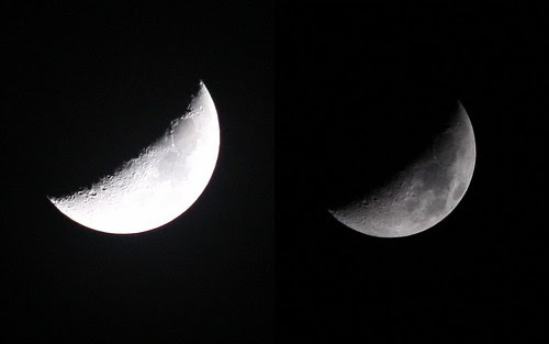 Crescent Moon