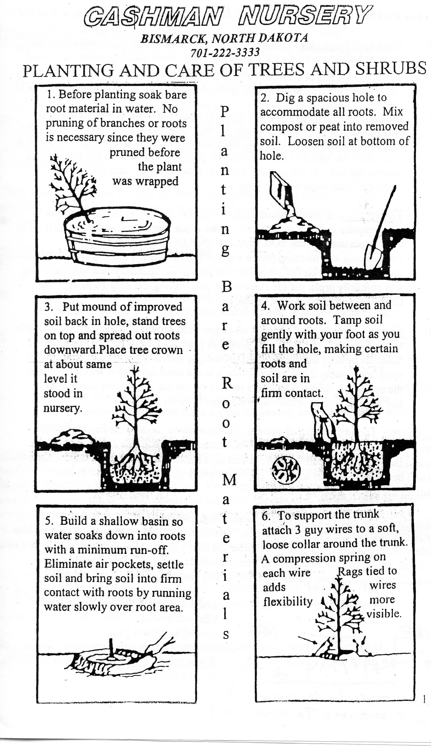 Cashman Nursery | Bare Root