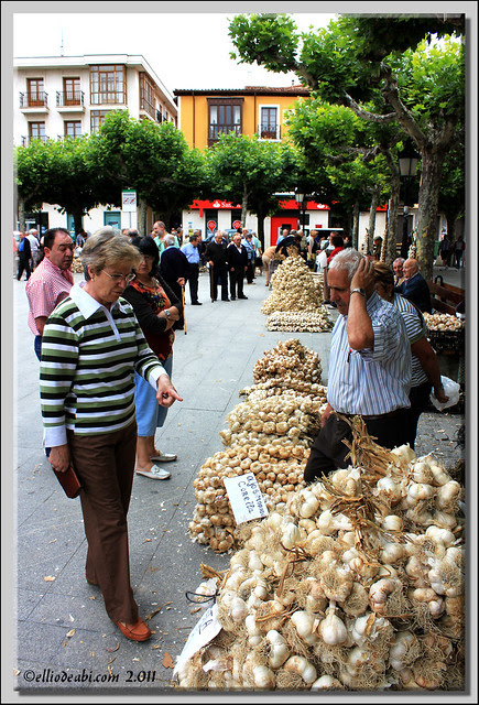 Día de Santiago 4
