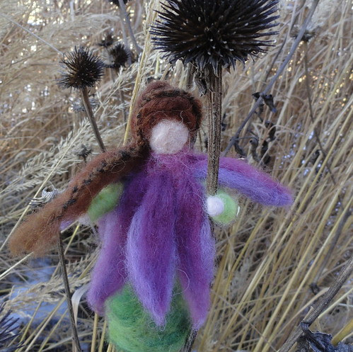 purple coneflower Flower Fairy