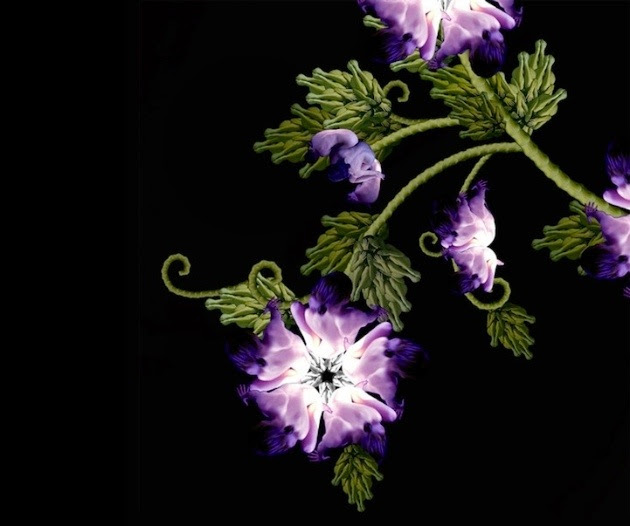 The beauty of the human body?Or the beauty of nature? from Cecelia Webber