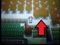 隠し穴隠し穴の場所と出現ポケモン ポケモンbw2攻略ga Mo