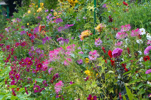 DSC05468 - Version 2