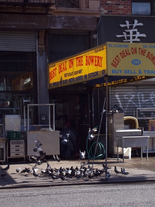pigeons on a sidewalk, The Bowery, Manhattan, NYC