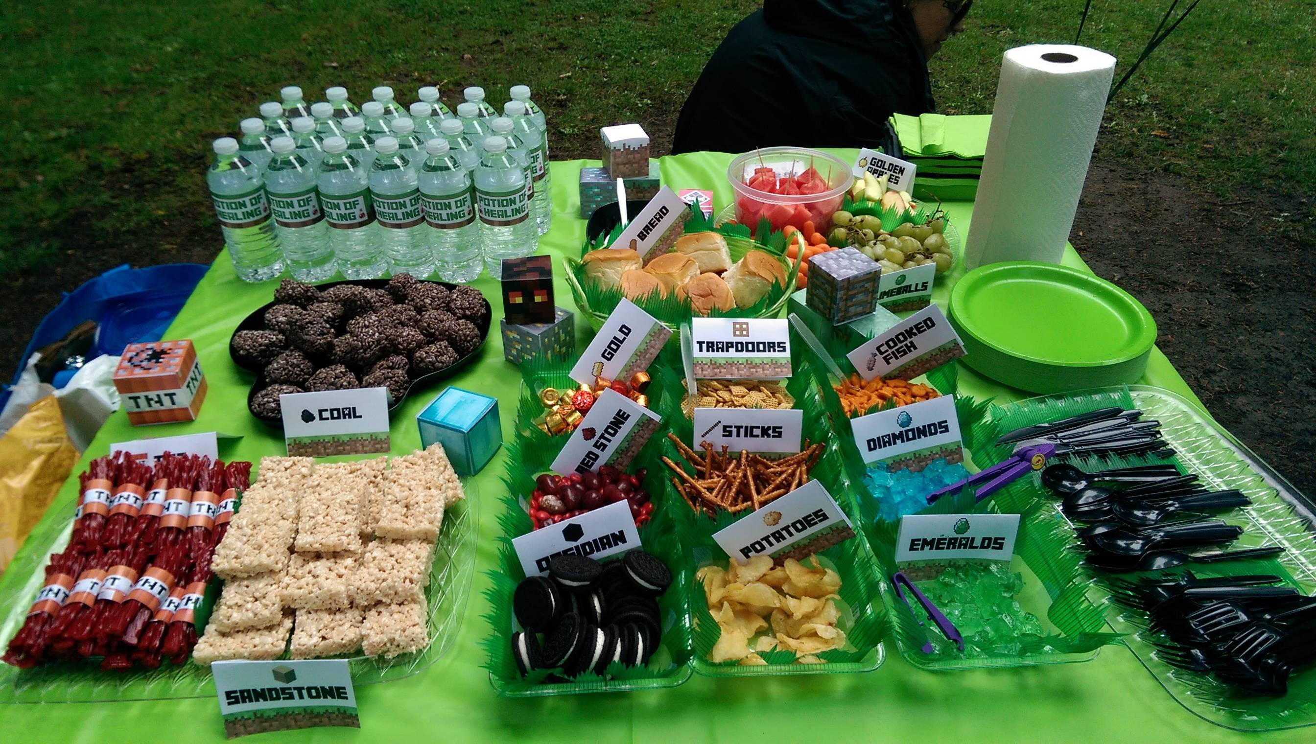 My son's friend had a minecraft themed birthday party : pics