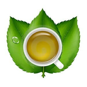 Green tea