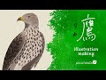 隼 鳥 かっこいい イラスト 265752