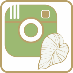 ”instagram”