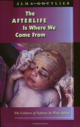The Afterlife Is Where We Come From 1st (first) Edition