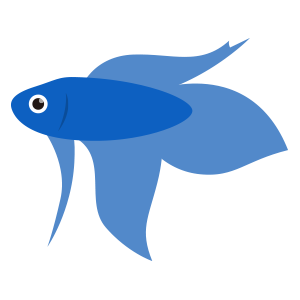 ベタの飼育方法 水槽立ち上げ方法まとめ 製品選び 寿命 体長 繁殖 水温 代表的な種類など 丨 Aqua Data アクアデータ