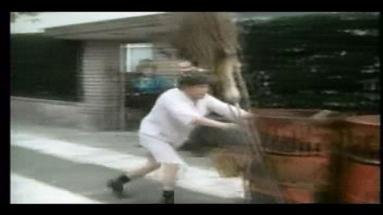 Film The Sweeper Gratis in Italiano