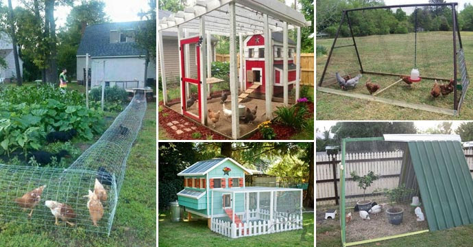 22 Low-Budget DIY Backyard Chicken Coop Plans ...