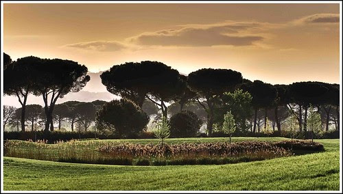Campo da golf..............Le Pavoniere by Tiziano Taddei