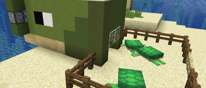 マイクラ カメを繁殖させる方法 カメの生息地などについて調査 マイクラモール