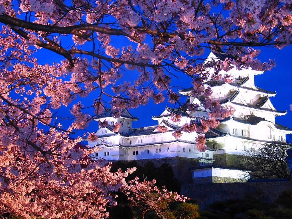 おしゃれな壁紙に最適な満開の 桜 の美しい高画質画像 壁紙 写真まとめ 写真まとめサイト Pictas