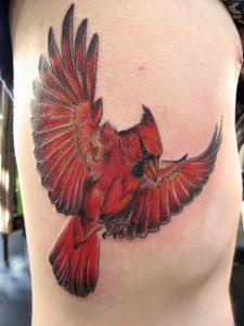 Cardinal Tattoos Designs Ideas and Meaning Tattoos For You