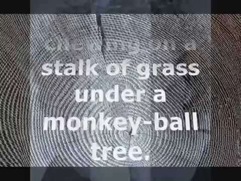 Matthew F. Blowers Iii - Guitar, Vocals - That Wall Of ...