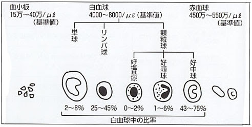 自血球が増加 あるいは減少している時