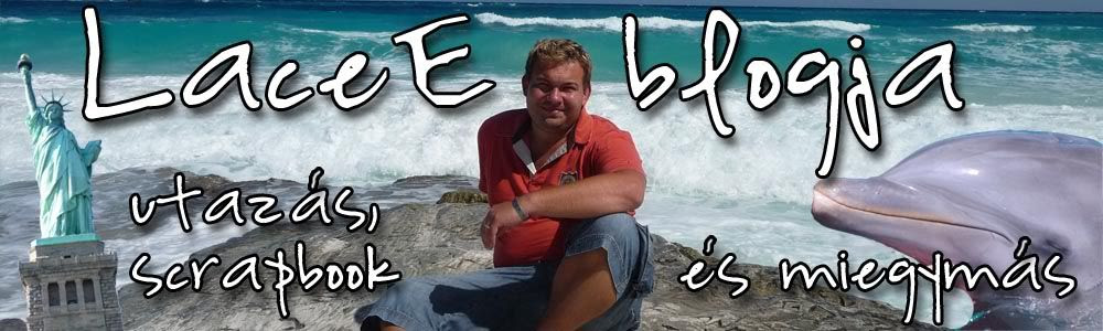 LaceE blogja