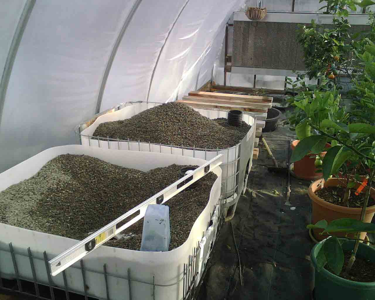 Utah Aquaponic System Construction and Early Startup