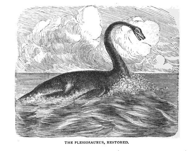 Plesiosaurus