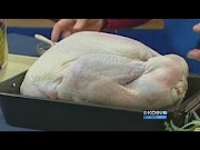 Inspiration Stuff it Baste it Pro tips on how to cook a turkey, Video Turkey Basting Tips Newest!