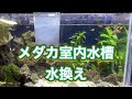 コレクション メダカ 水槽 立ち上げ 水換え 282812-メダカ 水槽 立ち上げ 水換え