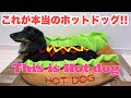 ホット ドック 犬 174053-ホットドック 犬