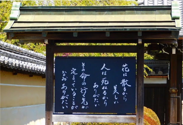 平成最後の桜の散り際に 花は散るから美しい と 紳士と淑女の話のネタblog