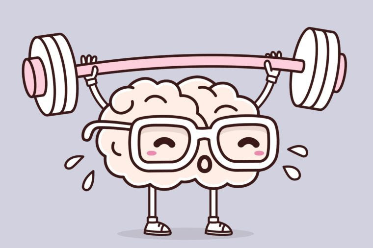 brain