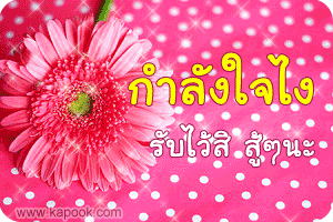 คลิกๆๆ รูปสวยๆน่ารักๆไว้ส่งต่อเพียบ...