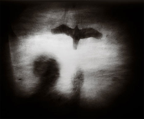 mark-tweedie-pinhole-2 mark tweedie pinhole