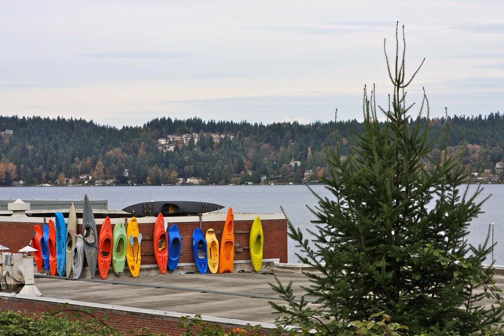 Kayaks
