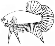 13+ Terpopuler Gambar Animasi Ikan Cupang