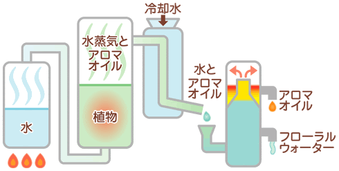 アロマオイルの作り方 アロマ 癒し生活