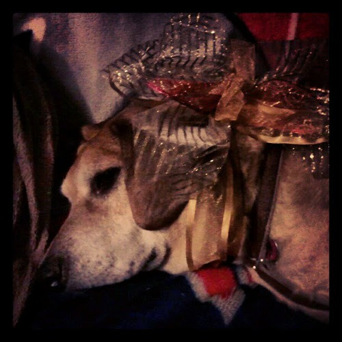 Sophie is SO over Valentine's Day...
