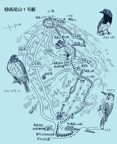 高尾山１号路