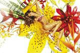 Gisele Bundchen - Nude Body Paint Pictures - Photo Magazine Pictures