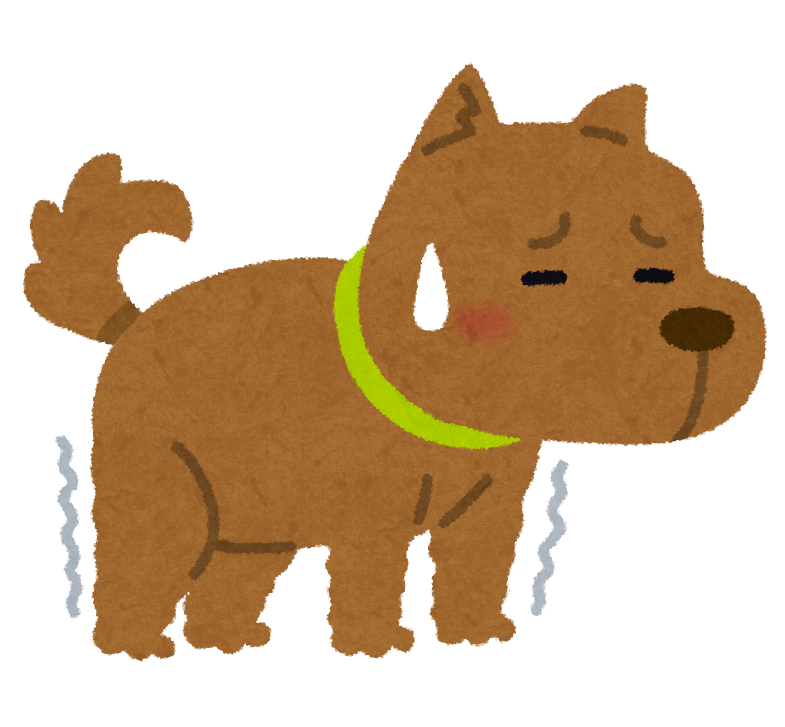 犬の後ろ足がフラフラして立てない時は おすすめのハーネスもご紹介します