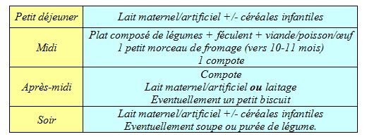 Diversification Alimentaire A Partir De 8 Mois Bergamote Family